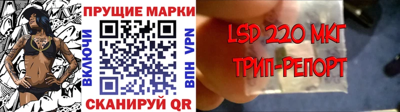 купить наркотики сайты  Первомайск  Марки 25I-NBOMe 1,5мг 