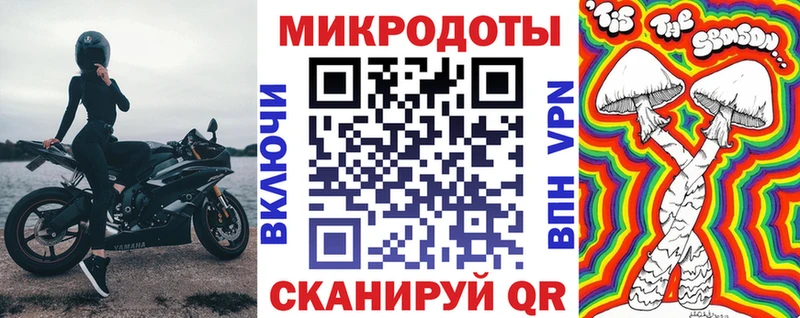 Псилоцибиновые грибы Psilocybine cubensis  Первомайск 
