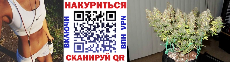 купить наркоту  Первомайск  МАРИХУАНА гибрид 